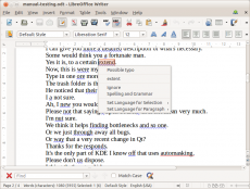 Скриншот 2 из 2 программы LanguageTool