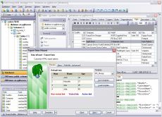Скриншот 1 из 1 программы EMS PostgreSQL Manager