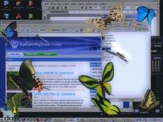 Скриншот 2 из 2 программы 3D Desktop Butterfly Screensaver