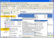 Скриншот 1 из 1 программы Neat Notes 2005
