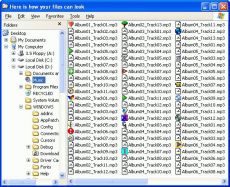 Скриншот 1 из 1 программы IconChanger