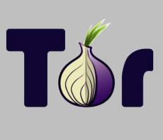 Скриншот 2 из 3 программы Tor Expert Bundle
