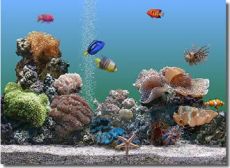 Скриншот 1 из 1 программы Marine Aquarium