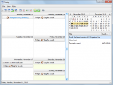 Скриншот 2 из 4 программы C-Organizer