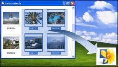 Скриншот 2 из 2 программы PicJet Studio