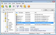 Скриншот 1 из 5 программы Internet Download Accelerator
