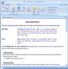 Скриншот 1 из 1 программы Blitz Document