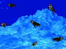 Скриншот 1 из 1 программы 3D Swimming Penguins
