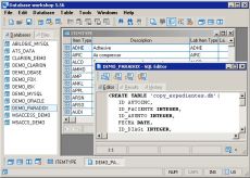 Скриншот 1 из 1 программы Vizacc Database Manager