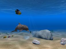 Скриншот 1 из 4 программы Dolphin Aqua Life 3D Screensaver