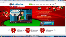 Скриншот 1 из 1 программы WooGamble Vpn Browser