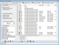 Скриншот 1 из 2 программы Registrar Registry Manager