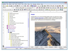 Скриншот 1 из 1 программы TreePad X Enterprise 384 Gb