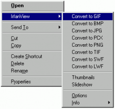 Скриншот 1 из 1 программы IrfanView ShellExtension