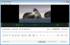 Скриншот 1 из 1 программы Free Video Editor