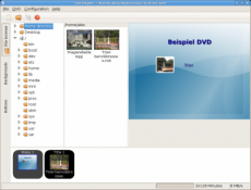 Скриншот 4 из 5 программы DVDStyler