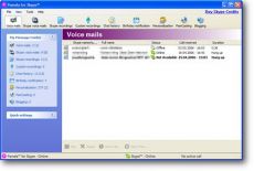 Скриншот 1 из 1 программы Pamela for Skype