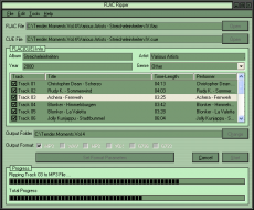 Скриншот 1 из 1 программы Flac Ripper