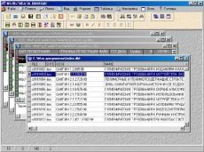 Скриншот 1 из 1 программы MultiDataBase (DBF, DBS)