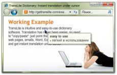 Скриншот 1 из 1 программы TransLite Dictionary