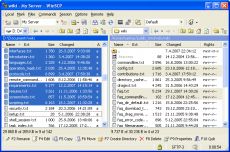 Скриншот 1 из 2 программы WinSCP