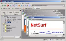Скриншот 1 из 1 программы NetSurf