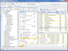 Скриншот 2 из 6 программы dbForge Studio for Oracle
