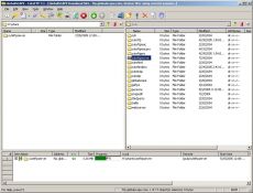 Скриншот 1 из 1 программы CuteFTP