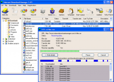 Скриншот 1 из 2 программы Internet Download Manager
