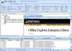 Скриншот 2 из 6 программы Offline Explorer