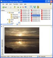 Скриншот 1 из 1 программы FilePreviewer