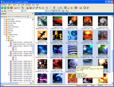 Скриншот 3 из 8 программы OrangeCD Player