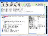 Скриншот 1 из 2 программы RaidenFTPD