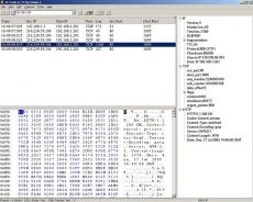 Скриншот 1 из 1 программы IP Sniffer