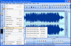Скриншот 1 из 1 программы Magic Music Editor