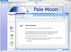 Скриншот 3 из 4 программы Pale Moon