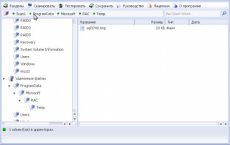 Скриншот 3 из 4 программы UFS Explorer Standard Recovery