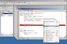 Скриншот 1 из 1 программы Perl Express