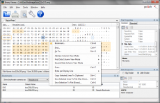 Скриншот 1 из 1 программы Binary Viewer