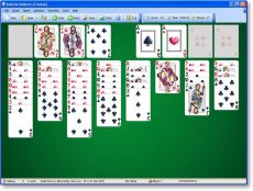 Скриншот 1 из 1 программы SolSuite 2009
