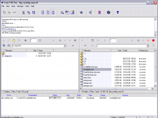 Скриншот 2 из 2 программы Core FTP LE