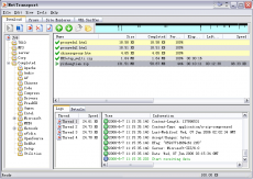 Скриншот 1 из 1 программы Net Transport
