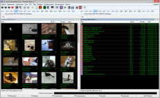 Скриншот 3 из 4 программы Total Commander 8.51a RuneBit Edition Portable 3.0 Final [Ru/En]